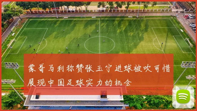 蒙哥马利称赞张玉宁进球被吹可惜展现中国足球实力的机会