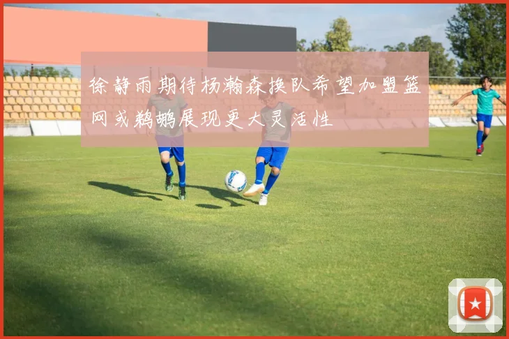 徐静雨期待杨瀚森换队希望加盟篮网或鹈鹕展现更大灵活性
